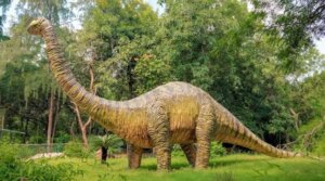 90-Million-Year-Old Dinosaur, Who Ate Grass, Finally Found