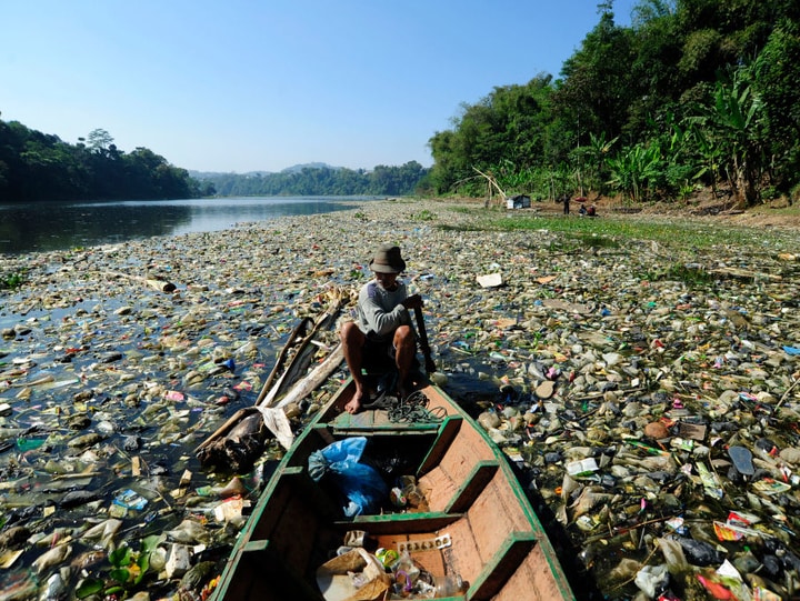 Dangerous Places To Swim On Earth