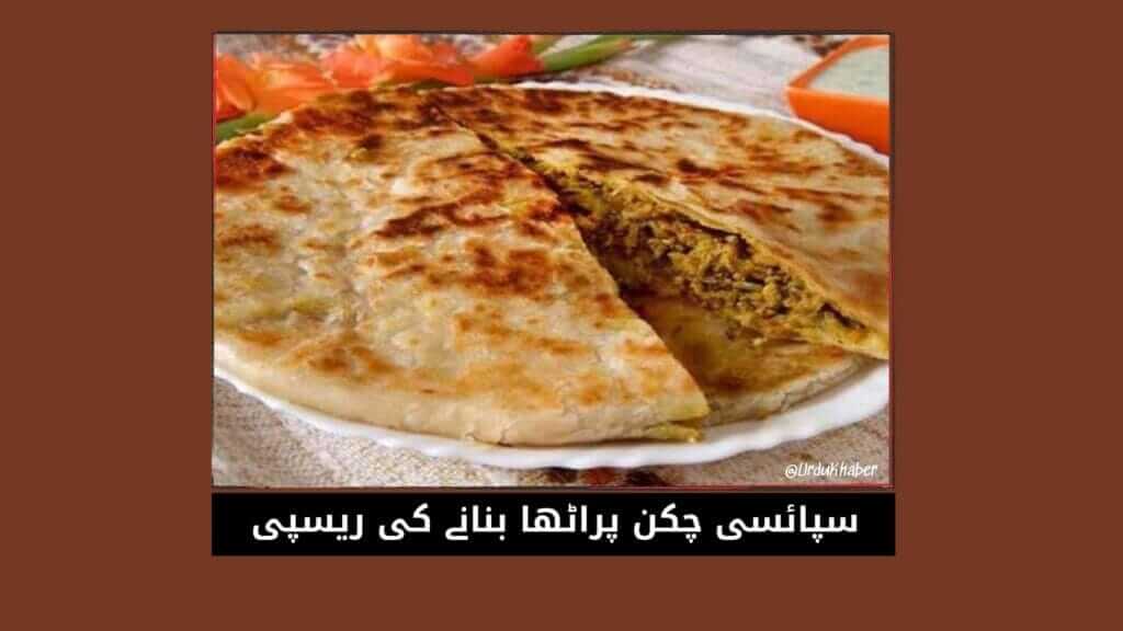 سپائسی چکن پراٹھا بنانے کی ریسپی