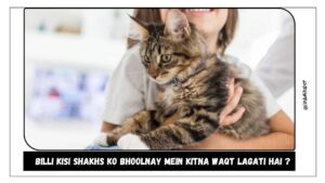 Billi Kisi Shakhs Ko Bhoolnay Mein Kitna Waqt Lagati Hai