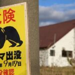  Rewrite the title up to 70 characters: Bear sighting on runway disrupts flights at Japan airport 