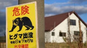 Bear sighting on runway disrupts flights at Japan airport