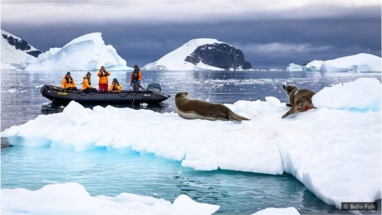 دنیا کا سب سے بڑا آئس برگ