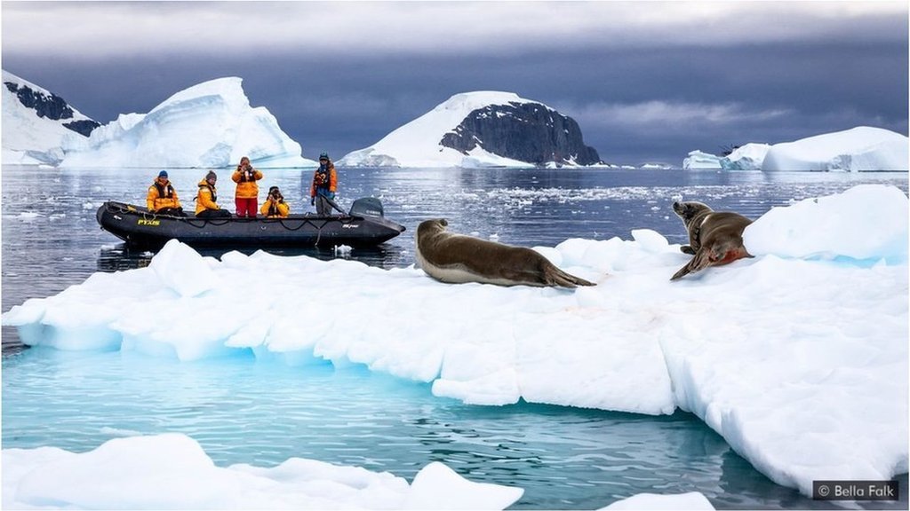 دنیا کا سب سے بڑا آئس برگ